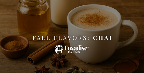 Chai Spice Honey in Cozy Fall Drinks