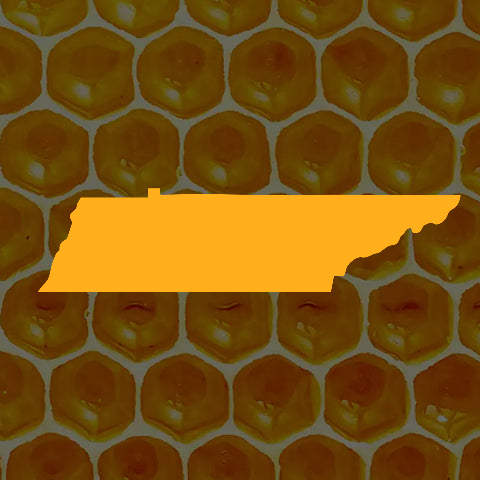 Northeast TN Local Honey Products – Foxadise Farms