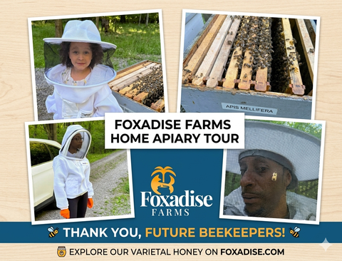 Future Beekeepers in Training! 🐝✨