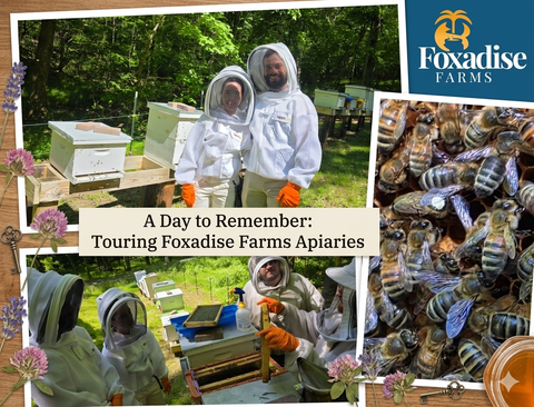 A Day of Discovery: Sharing the Wonder of Bees and Varietal Honey