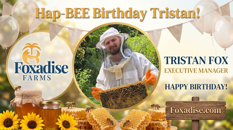 Celebrating Executive Manager Tristan Fox: Hap-BEE 23rd Birthday!