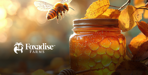 Pumpkin Spice Honey: Autumn’s Sweet Essential
