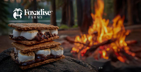 Sweeten Your S’mores Game with Foxadise Chocolate Honey