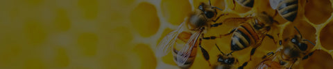 Other Bee Products