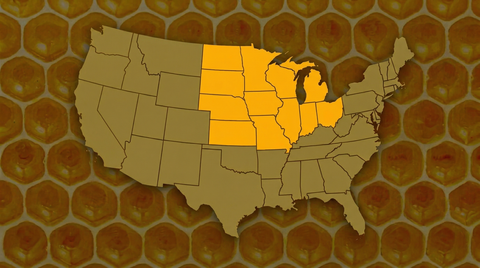 Midwestern Honey