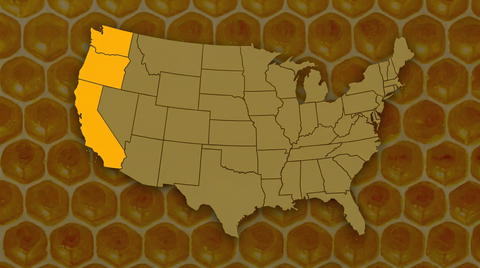 West Coast Honey