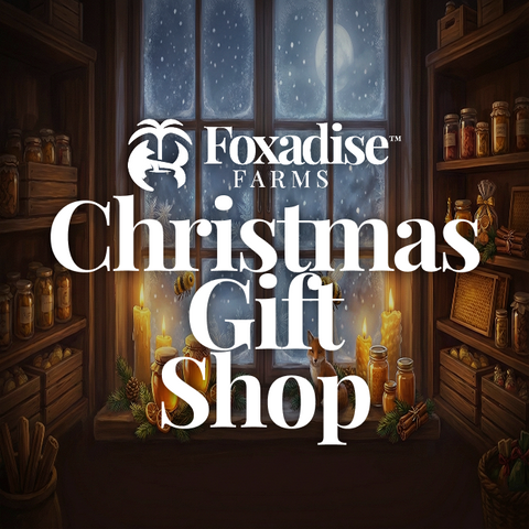 Advertisement for Foxadise Farms Christmas Gift Shop with a cozy interior setting.