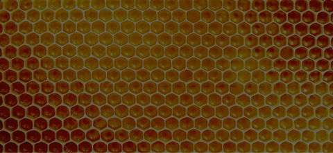 Specialty Honey
