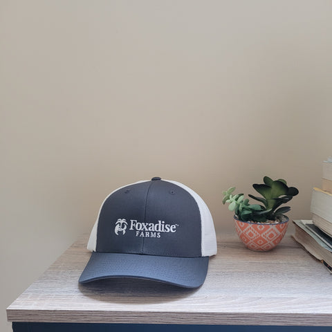 A gray and white Flexfit 110 MeshBack cap with a logo on the front, placed on a table with a small potted plant and a book in the background.